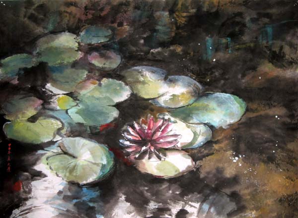 Waterlilly in the pond.
