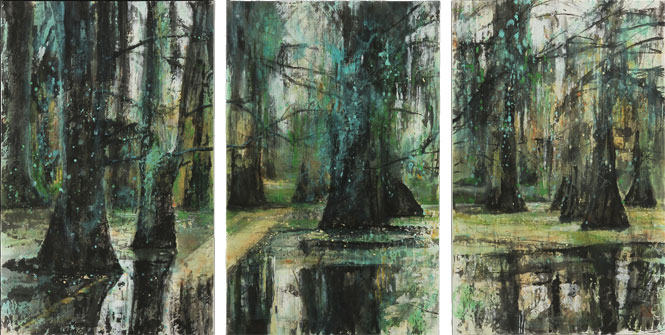 Cypress trees in the swamp.