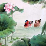 Two Ducks swiming in the pond with lotus flowers.