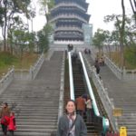Pagoda at the China Art Academy