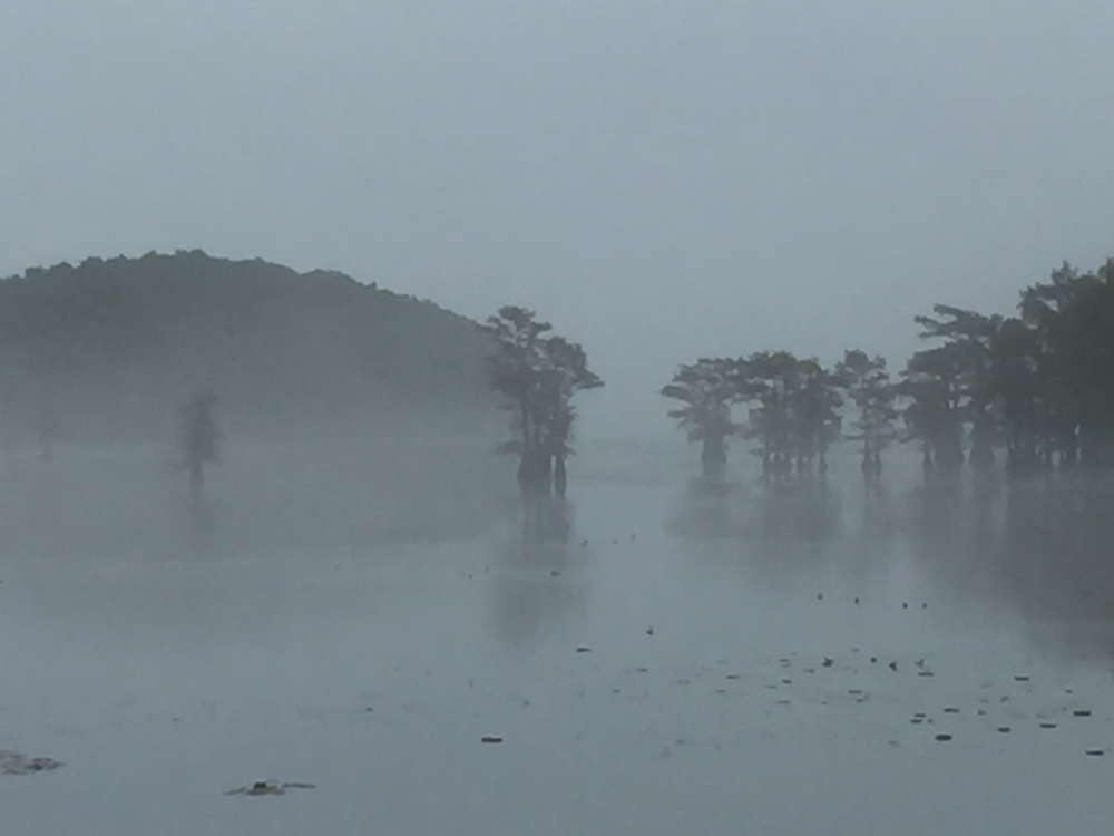 Misty Caddo Lake, Texas